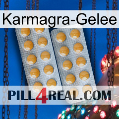 Karmagra Jelly levitra2